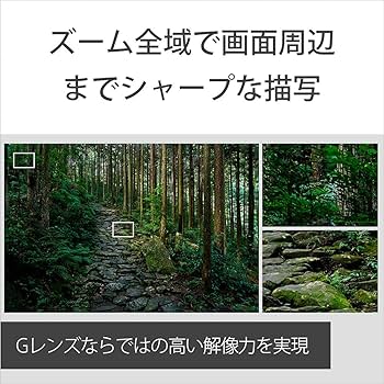 SONY - ソニー 24mm-105mm F4G  保証書あり FE 24-105mm F4 G OSS | デジタル一眼カメラα（アルファ） | ソニー